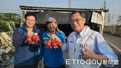 年菜加蔬果!豐盛少負擔 蘇清泉力推屏東水果蓮霧、棗子