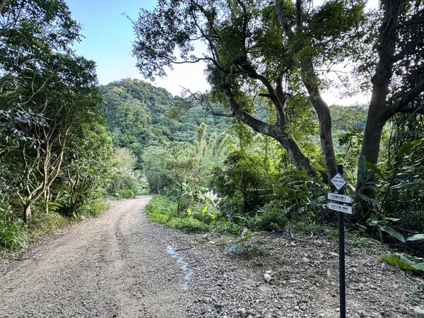 ▲高遶溪古圳步道,羅浮溫泉,大湖之森自然步道。（圖／桃園市觀旅局提供）