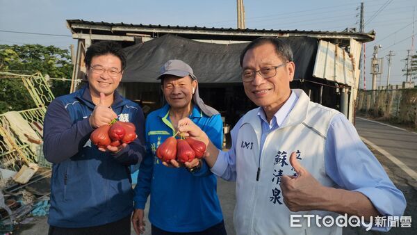 ▲▼ 蘇清泉力推屏東水果蓮霧、棗子      。（圖／國民黨立委蘇清泉提供）