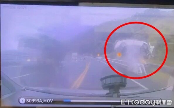 ▲▼白色汽車行經台9線太麻里路段時失控衝撞路旁指示牌，彈飛後掉落約20公尺深的山谷。（圖／記者楊晨東翻攝）