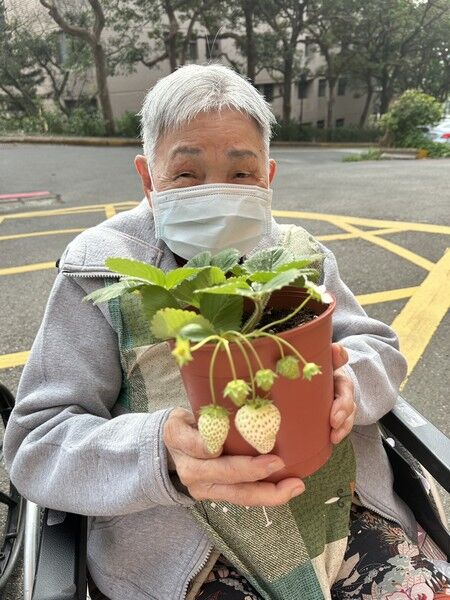 北榮桃園分院攜手農改場 推動長輩綠色照顧計畫