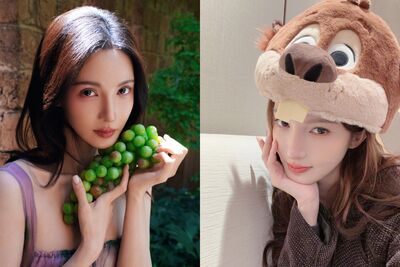 金晨開車撞牆爆助理頂包　警方認證「肇事逃逸」處罰結果曝光