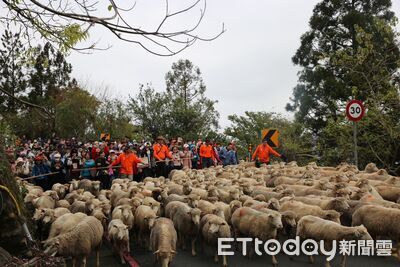 清境農場歡慶65週年　奔羊節推新春集點抽紅包