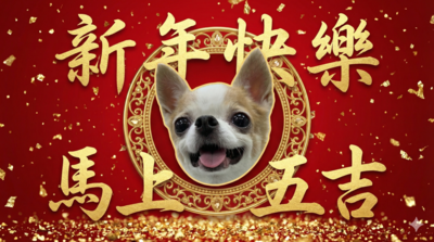 不再轉貼罐頭圖！AI生成拜年賀卡　寵物、小孩也能當主角