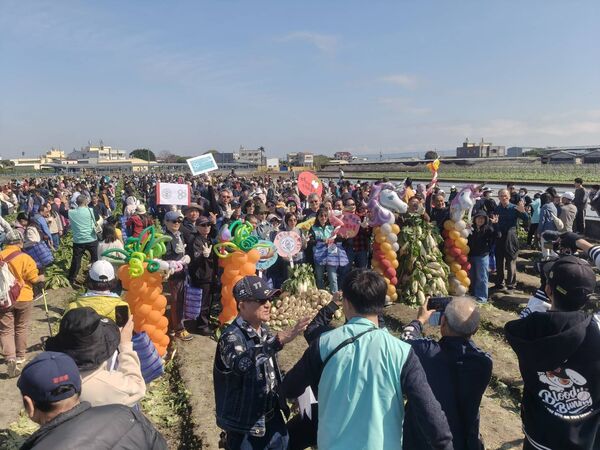 ▲台電彰化區處舉行拔蘿蔔活動。（圖／台電提供）