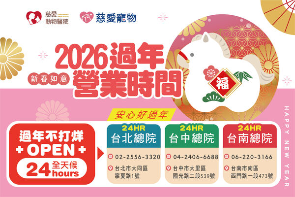 慈愛動物醫院過年營業時間。（圖／慈愛動物醫院提供）