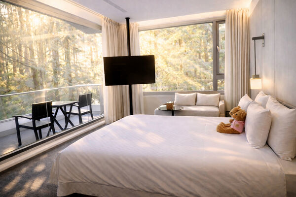 ▲▼阿里山賓館頂級客房。（圖／業者提供）