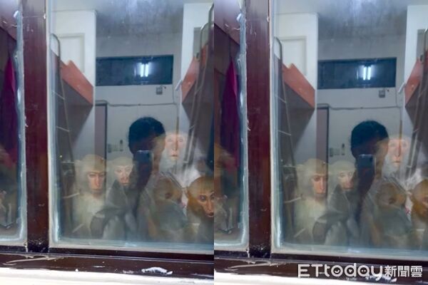 ▲▼女大生返回宿舍，發現窗外有一家6口正在凝視。（圖／網友「Cinya的私房烘焙課」授權提供，請勿隨意翻拍以免侵權）