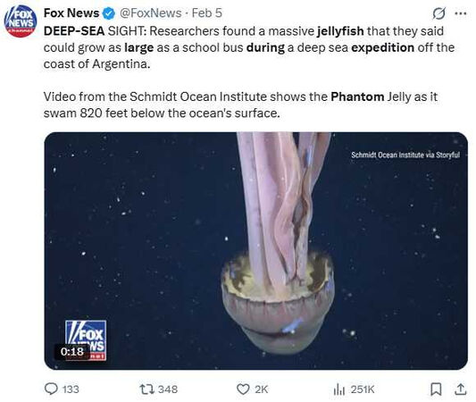 深海驚現幽靈水母！觸臂長如一輛校車　罕見畫面曝光