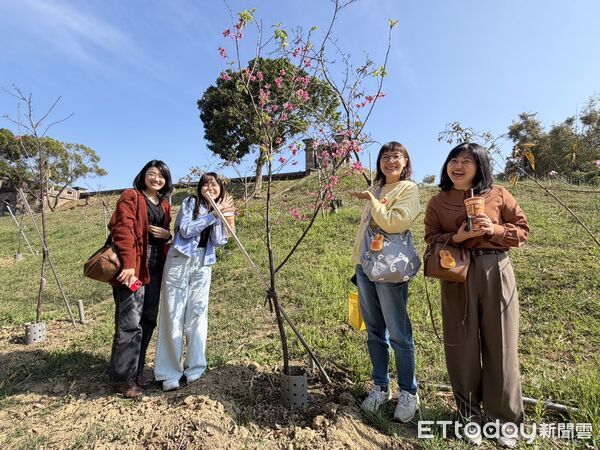 ▲台南山上花園水道博物館櫻花陸續綻放，園區已可見粉白花景，吸引遊客入園賞花。（記者林東良翻攝，下同）