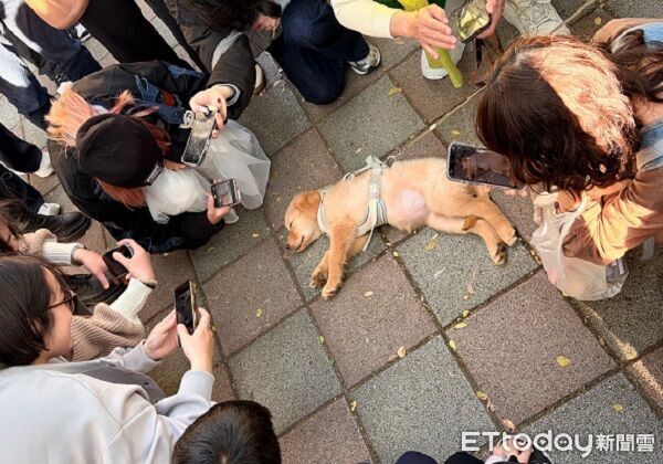 ▲。(圖/Threads@jiruho提供,請勿隨意翻拍,以免侵權。)