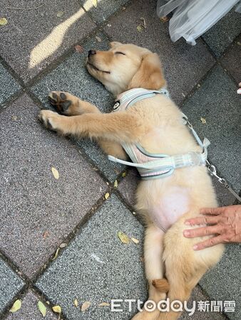 ▲。(圖/Threads@jiruho提供,請勿隨意翻拍,以免侵權。)