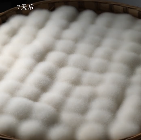 ▲▼霉豆腐的前生。（圖／翻攝自微博）