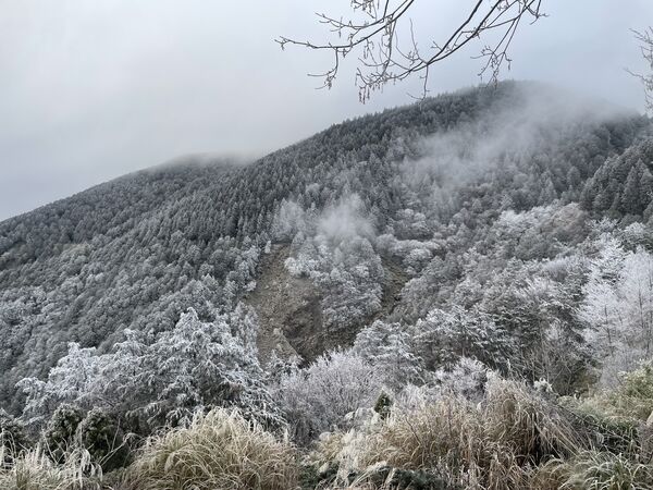 ▲▼太平山國家森林遊樂區，一片霧淞雪白美景。（圖／太平山莊提供，下同）