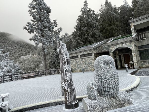 ▲▼太平山國家森林遊樂區，一片霧淞雪白美景。（圖／太平山莊提供，下同）