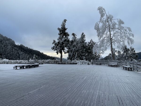 ▲▼太平山國家森林遊樂區，一片霧淞雪白美景。（圖／太平山莊提供，下同）