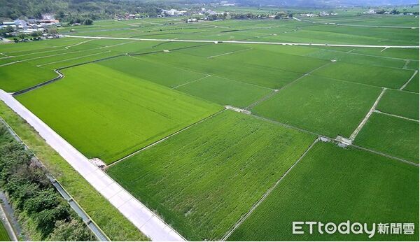 ▲花蓮分署運用無人機空拍位於台東縣池上鄉的法拍不動產。（圖／花蓮分署提供，下同）
