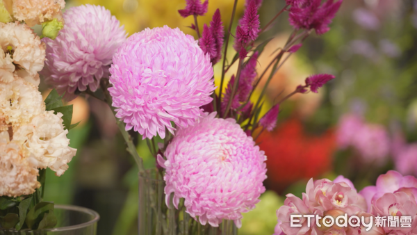 ▲▼過年送禮別再只送餅乾盒　教你在家用多餘花材插出心意花禮,蔓綠絨花卉,羅凱云。（圖／記者姜國輝攝）