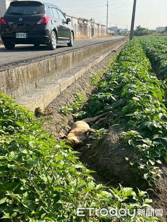 ▲。（圖／有點毛毛的／劉宸雲提供）