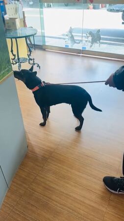 ▲。（圖／有點毛毛的／劉宸雲提供）