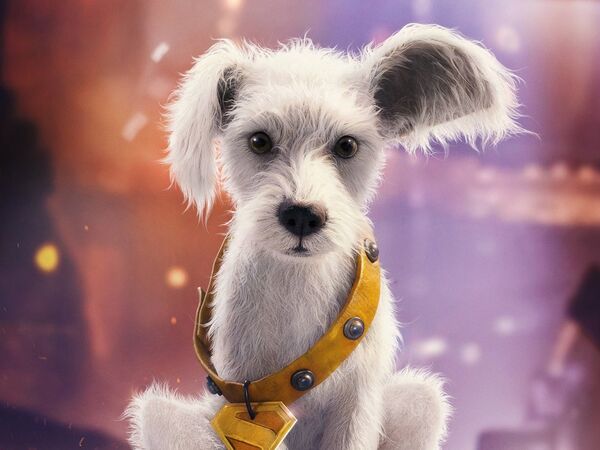 《超人》萌犬超狗身世真相曝光！傑森摩莫亞演DC反派…差點認不出