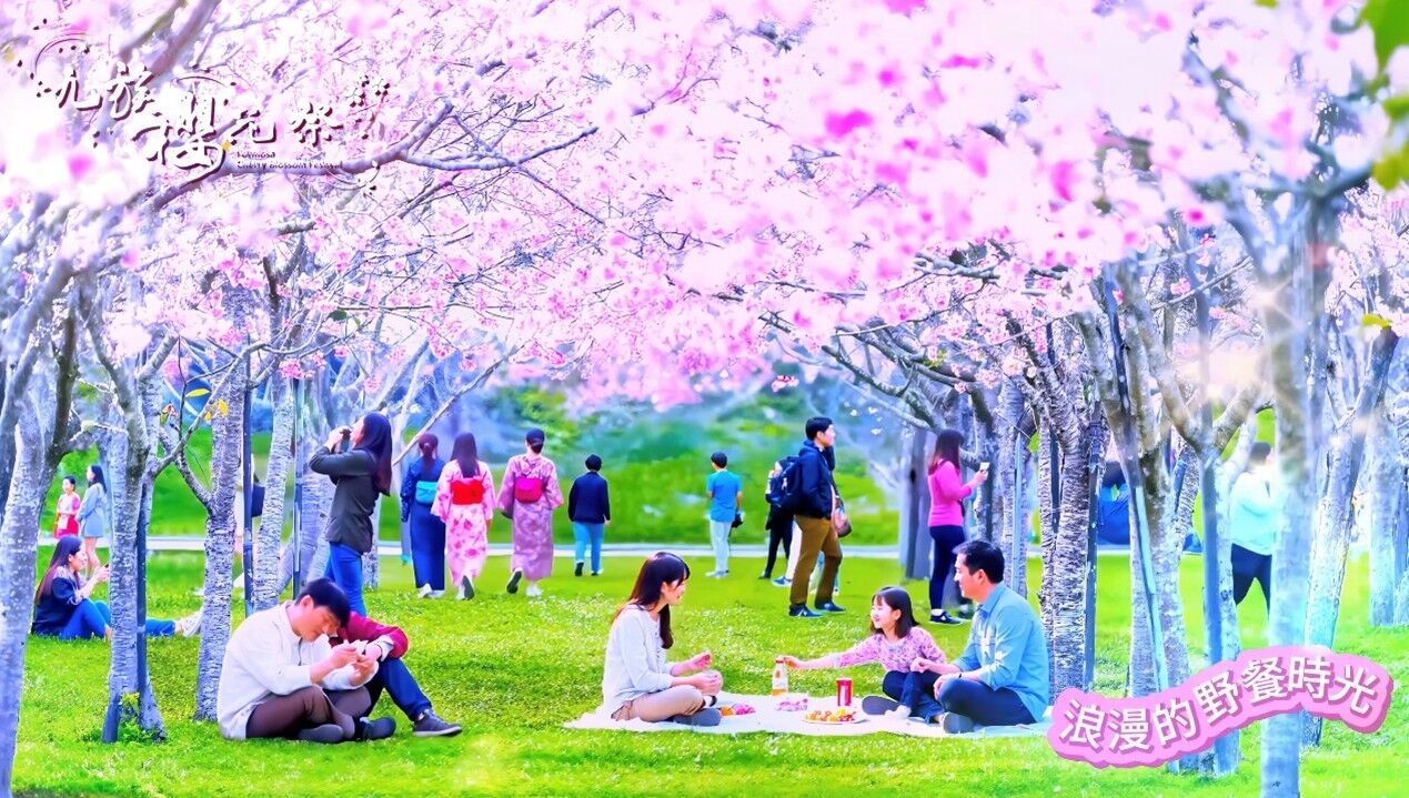 九族櫻花祭,九族文化村,賞櫻,夜櫻,追櫻,日月潭纜車,春遊,火舞,野餐,走春,情人節,紫戀薰衣草（圖／翻攝自影片）