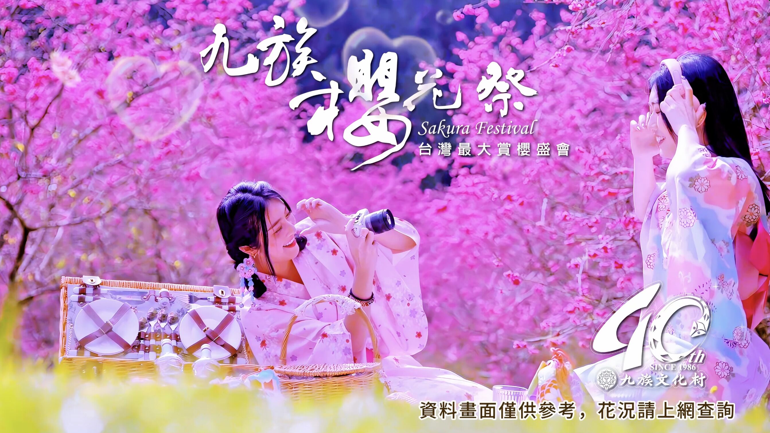 九族櫻花祭,九族文化村,賞櫻,夜櫻,追櫻,日月潭纜車,春遊,火舞,野餐,走春,情人節,紫戀薰衣草（圖／翻攝自影片）