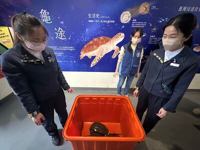 響應翻轉物種瀕危趨勢行動日　桃園Xpark水族館成果亮眼