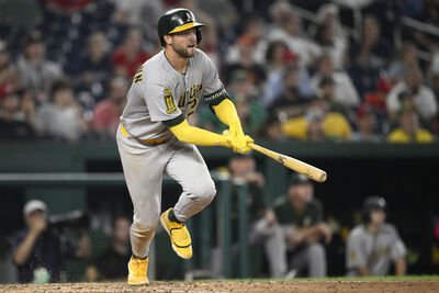 洋基春訓前交易回多功能野手舒曼　23歲外野新秀二度DFA