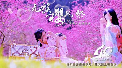 九族櫻花全線盛開　2/14起夜櫻、火舞祭魔幻登場