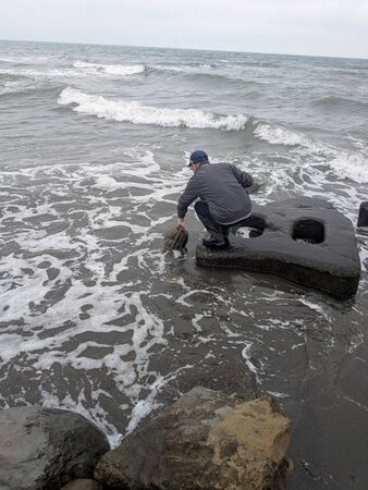 ▲Xpark響應翻轉物種瀕危趨勢行動日