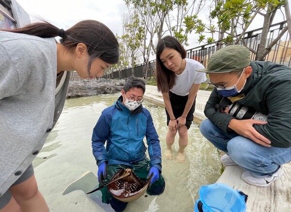 ▲Xpark響應翻轉物種瀕危趨勢行動日