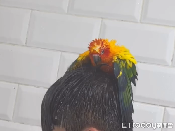 ▲。（圖／Threads@natalie_10.18提供，請勿隨意翻拍，以免侵權。）