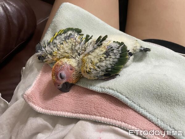 ▲。（圖／Threads@natalie_10.18提供，請勿隨意翻拍，以免侵權。）