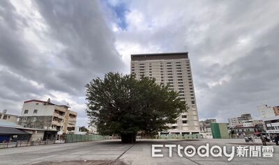 花蓮走春更便利！國有空地供臨停　200車位全時段免費