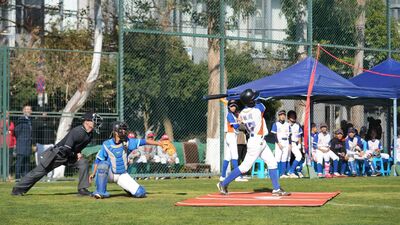 兩岸30隊棒球少年齊聚昆明　賽場上熱血切磋球技　課餘欣賞紅嘴鷗