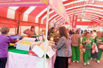 桃園年貨大街中壢場今開賣　桃市雙主場歡喜迎馬年