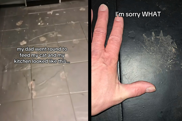 外出忘記關貓門　女發現地板出現「人手大神秘爪印」驚悚畫面曝。（圖／翻攝自TikTok／_ells444）