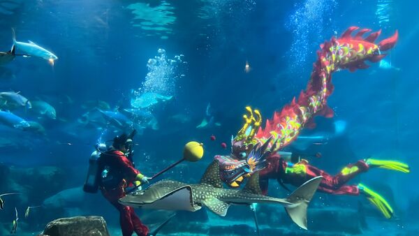 ▲▼花蓮遠雄海洋公園春節限定活動。（圖／業者提供）