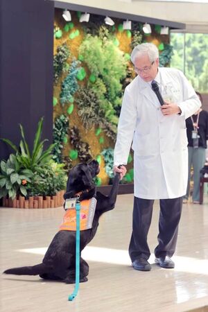 醫療輔助犬Oba退休。（圖／翻攝自北榮官網）