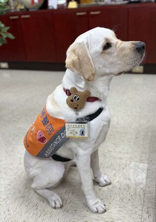醫療輔助犬Oba退休。（圖／翻攝自北榮官網）