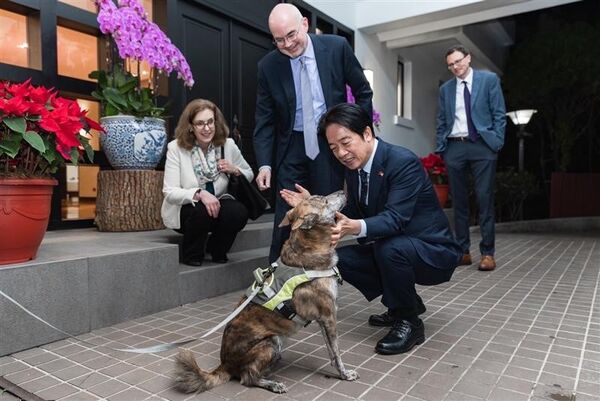 ▲▼美國在台協會處長谷立言赴總統官邸拜年，總統賴清德的愛犬斑斑也入鏡。（圖／美國在台協會）
