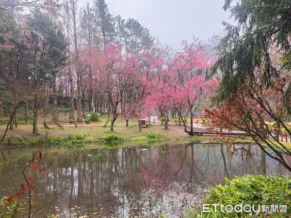 ▲奧萬大及合歡山除夕休園、小年夜(215)與除夕(216)暫停住宿服務、天池山莊不休息正常營運。（圖／林業保育署南投分署提供）