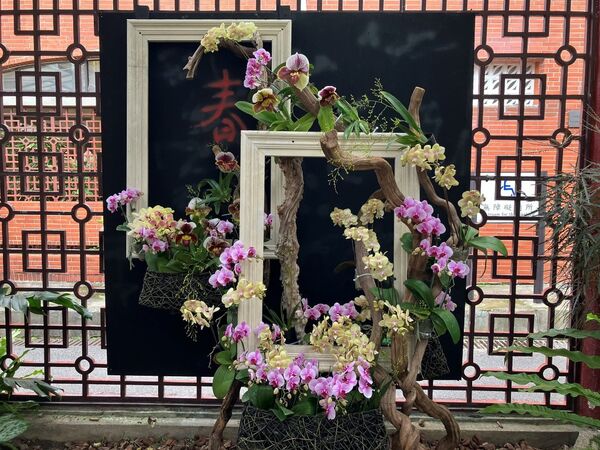 ▲ 2026士林官邸春節花卉展 。（圖／公園處提供）