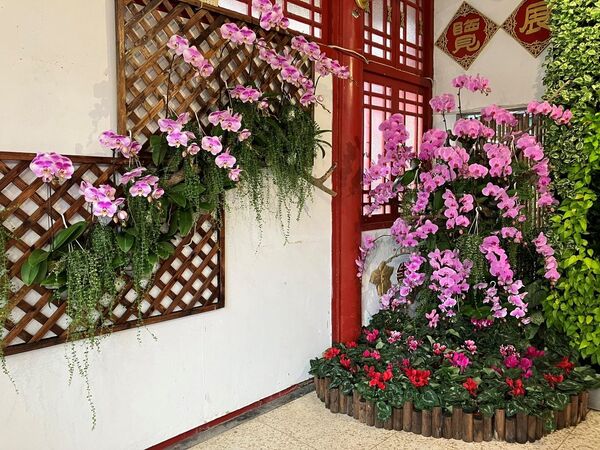 ▲ 2026士林官邸春節花卉展 。（圖／公園處提供）