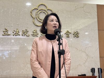 傅崐萁嗆封殺院版軍購　吳思瑤嘆立法傲慢：不放棄努力盼綠藍白合作