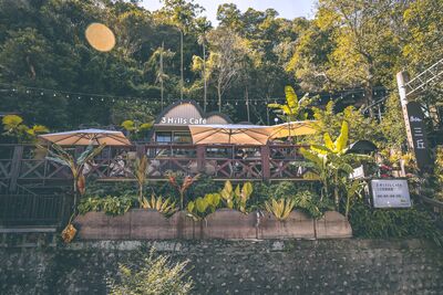 舊鐵道旁享用寧靜下午茶！苗栗三義絕美「綠廊咖啡廳」