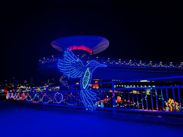 ▲2026辰光橋光雕展2/14點燈。（圖／高灘處提供）