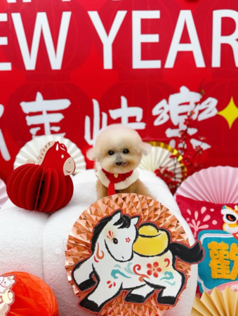 ▲▼曾莞婷。（圖／翻攝自Instagram／vicky_7155）