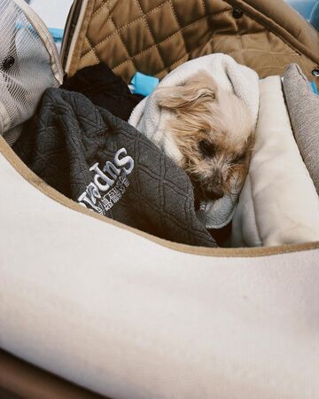 ▲▼曾莞婷。（圖／翻攝自FACEBOOK／曾莞婷）